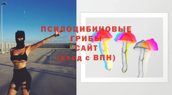 МДПВ Нефтекумск