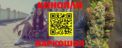 гидропоника Будённовск