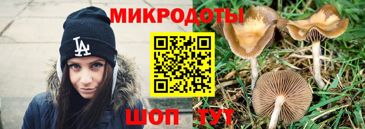 Истра  Галлюциногенные грибы Psilocybine cubensis  Вход с VPN 