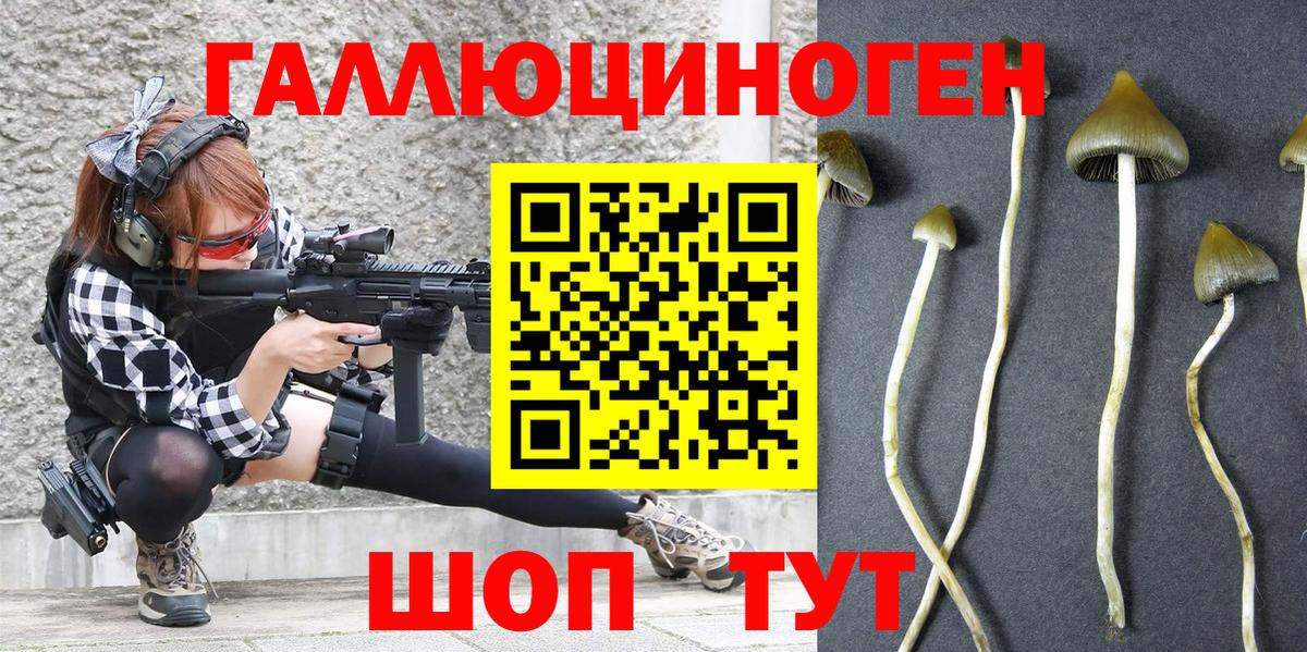 Галлюциногенные грибы прущие грибы Истра