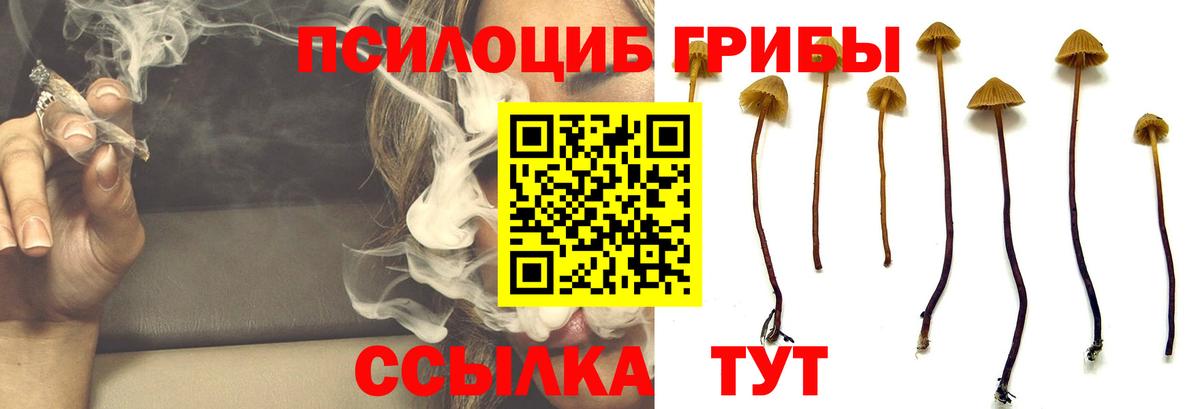 Галлюциногенные грибы Magic Shrooms  Истра 